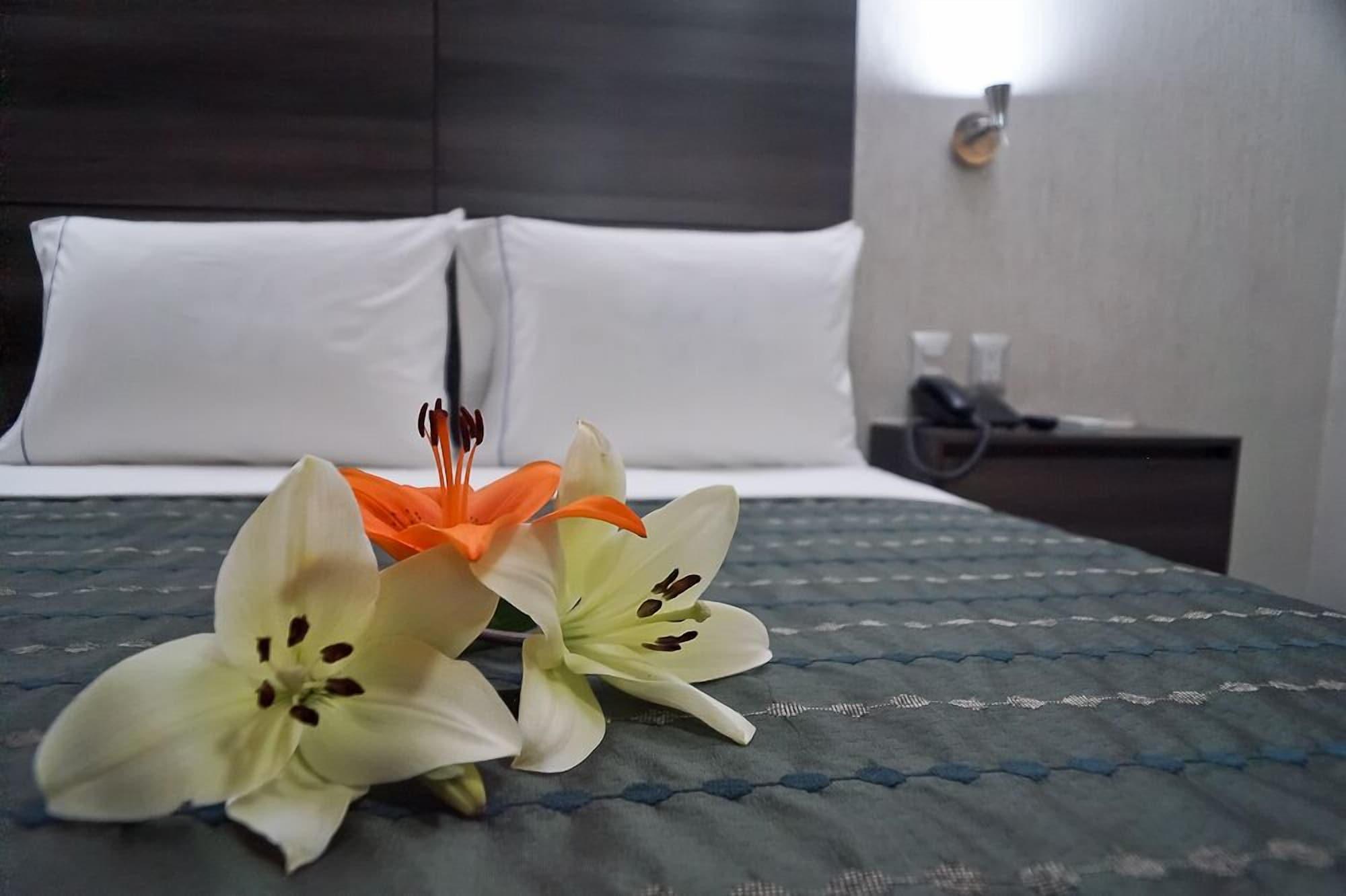 Hotel Expo Abastos Guadalajara Dış mekan fotoğraf